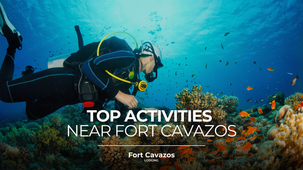 top activities near fort cavazos